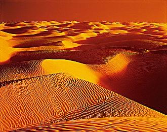 KK官方对战平台开学季·青春补给站福利来袭！​